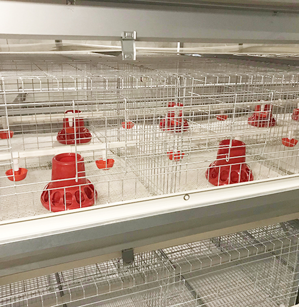 养鸡生产中实用的检测设备由全自动养鸡设备厂家长城畜牧告诉大家
